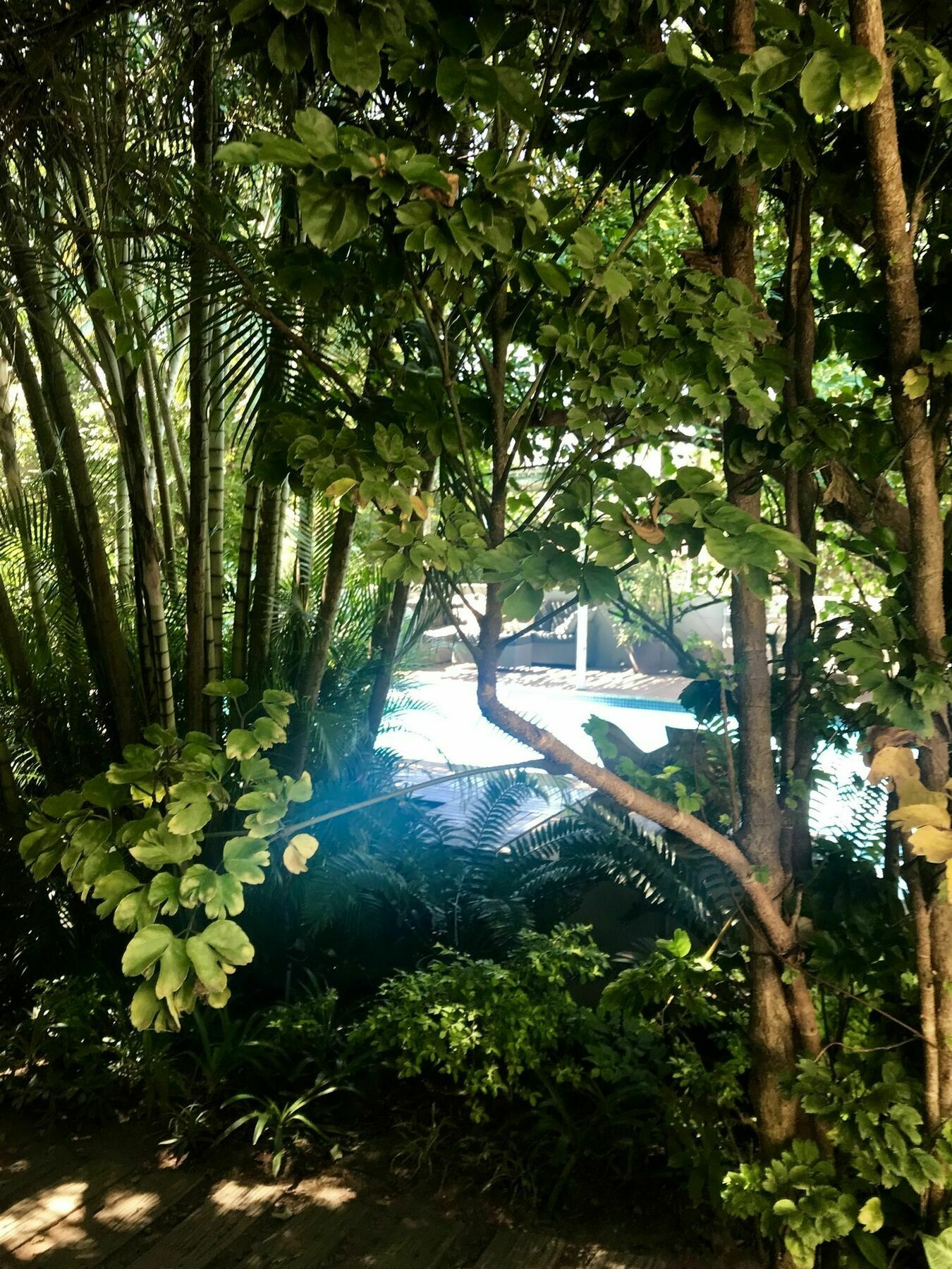 Beach Forest Lodge Ballito Eksteriør billede